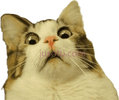 猫咪,trolling meme scared freaked surprised to PNG