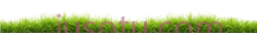 草坪PNG