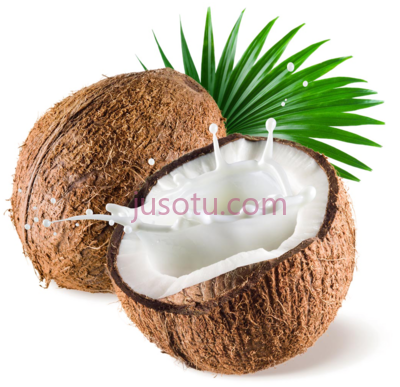 椰子,coconut milk PNG