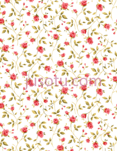 玫瑰,花 PNG