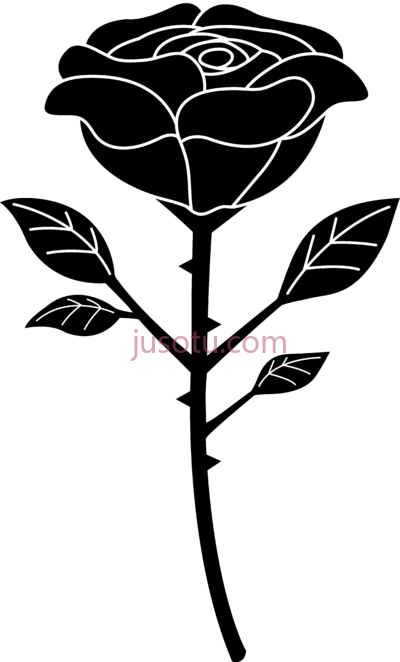 黑玫瑰,black rose chefs PNG