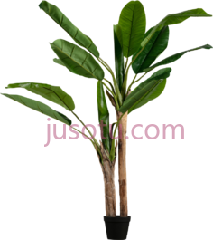 香蕉叶,植物,植被,草木 PNG