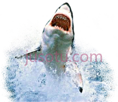 鲨鱼跳出水面PNG