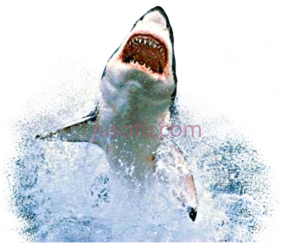 鲨鱼跳出水面,sharks jumping out water PNG