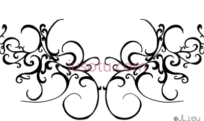 涡流,line swirls PNG