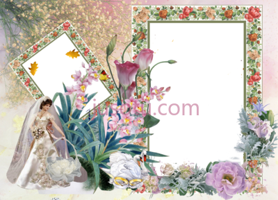 婚礼,wedding frame PNG