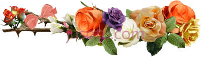 玫瑰爱,rose PNG