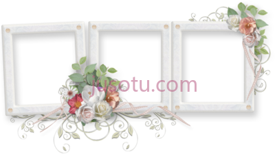 婚礼,wedding PNG