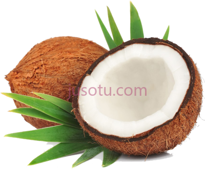 椰子,coconut mature PNG