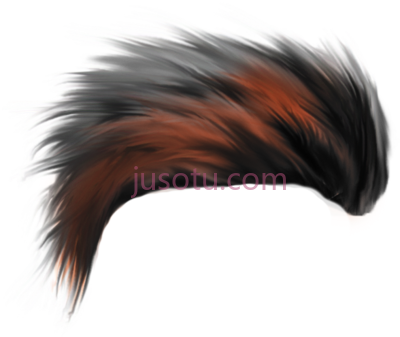 头发,hair PNG