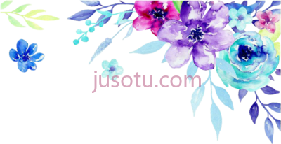 角花,corner water flower PNG