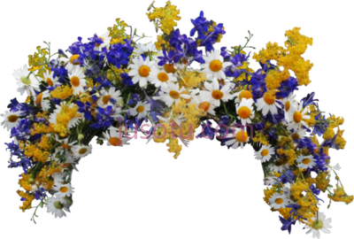 野花冠,wild crown PNG