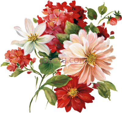 花,real flowers PNG