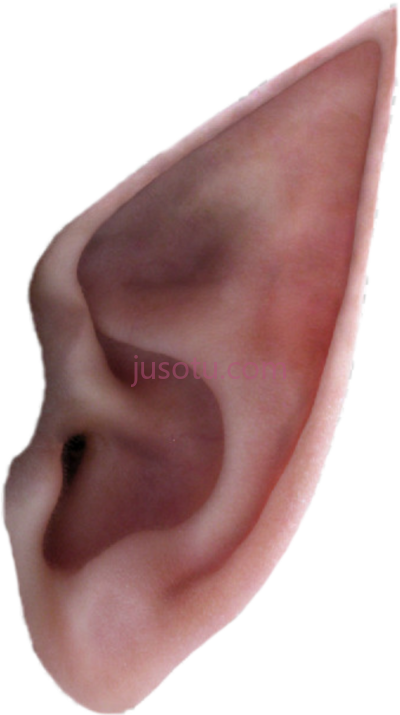 耳朵精灵,elf blank ears PNG