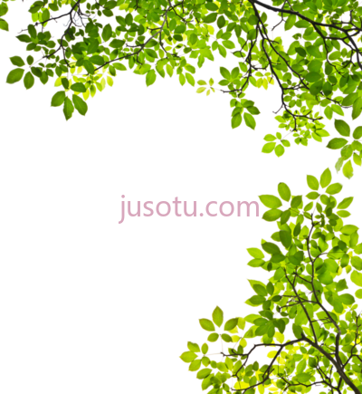 树枝叶子,feuille arbre tree branches leaves PNG