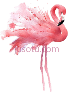 水彩火烈鸟PNG