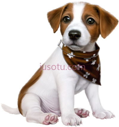 狗,cute dogs jack russell puppy PNG