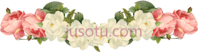 花卉复古,flower vintage PNG
