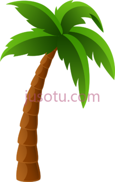 棕榈树PNG