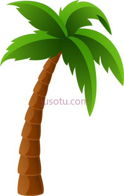 棕榈树,palm tree PNG