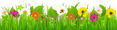 花草,grass border PNG
