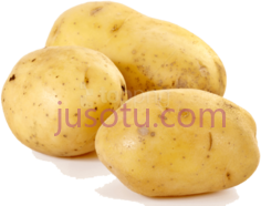 土豆,蔬菜 PNG