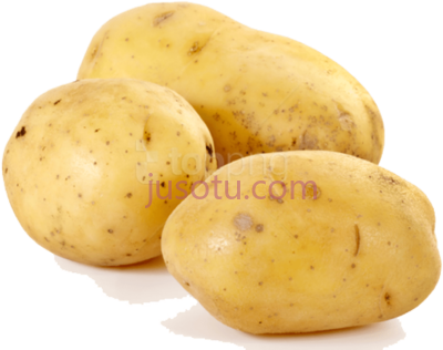 土豆,potatoes PNG