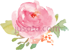 玫瑰粉色水彩花PNG