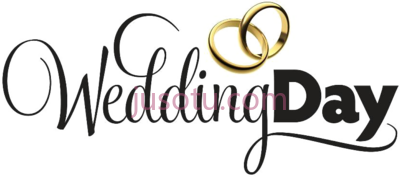 婚礼,word our day logo PNG