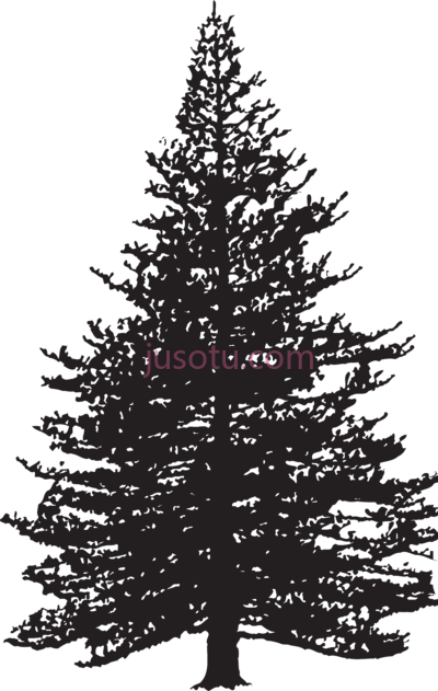 松树,pine PNG