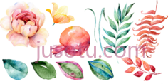 水彩石榴花PNG