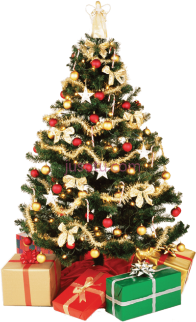 小树,small tree PNG