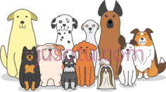 狗群PNG