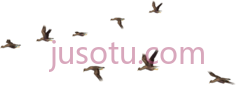 鸟群飞PNG