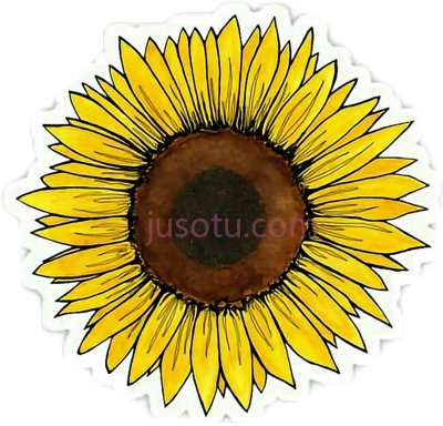 黄色太阳花,yellow sun PNG