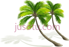 椰子树PNG