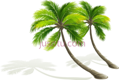 椰子树,palmera dibujo coconut tree arvores tropicais PNG
