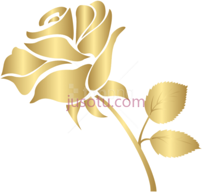 装饰金,decorative gold PNG