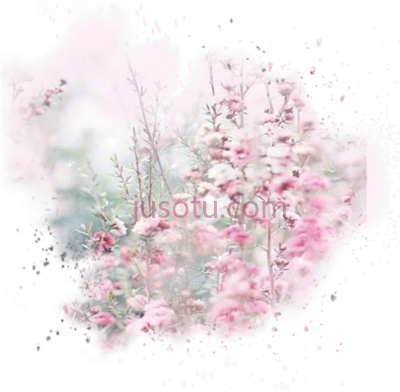 粉花景观,pink garden nature landscape PNG