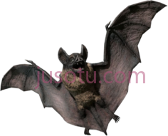 吸血鬼蝙蝠PNG