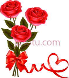 红色玫瑰PNG