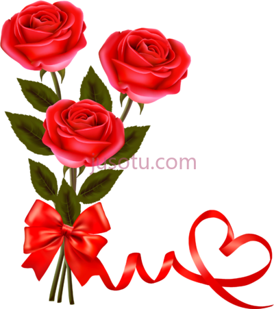 红色玫瑰,love red PNG