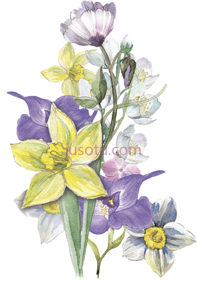黄紫花水彩,yellow purple flower cluster decorative watercolor painting PNG