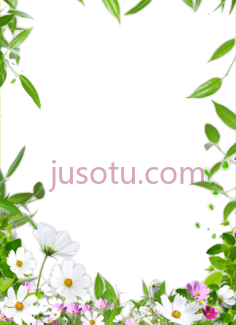 花边框PNG