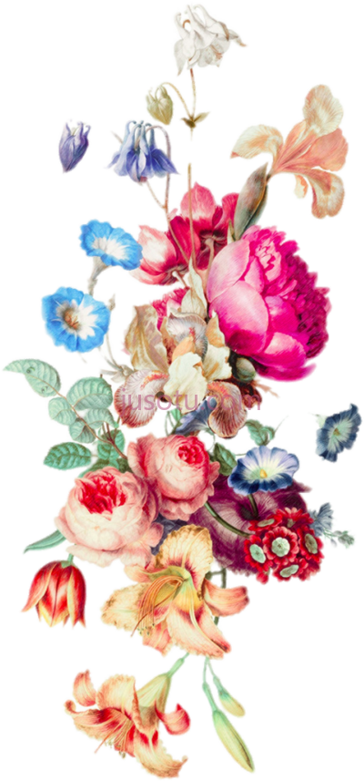 复古花卉边框,border flower vintage floral tattoo set PNG