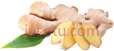 生姜PNG