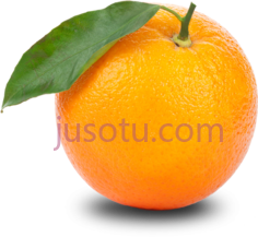 橙子PNG