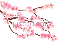 樱花树PNG