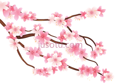 樱花树,flower tree cherry blossom PNG