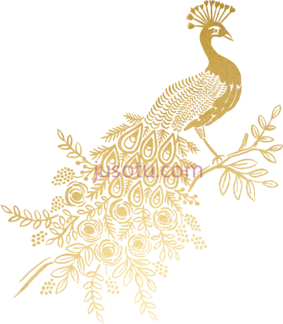 金孔雀,weed joint golden peacock feather PNG